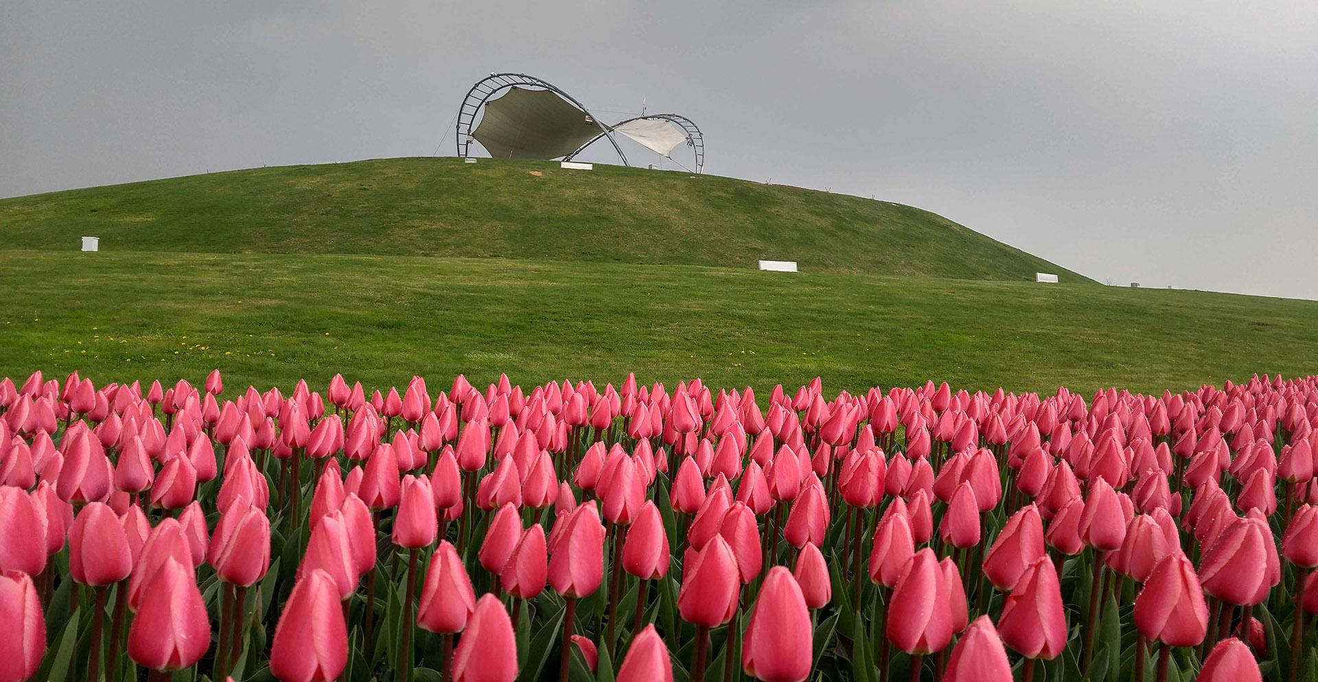 Manzara ve Doğa Mansiyon Mehmet Karcıdağ - Seka