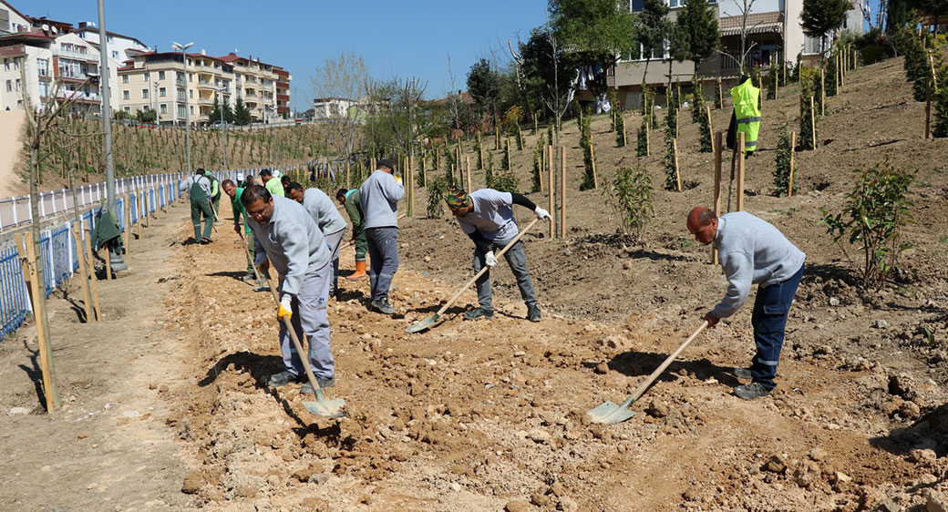 kasgaldere-mesire-alanina-6-bin-fidan-dikildi