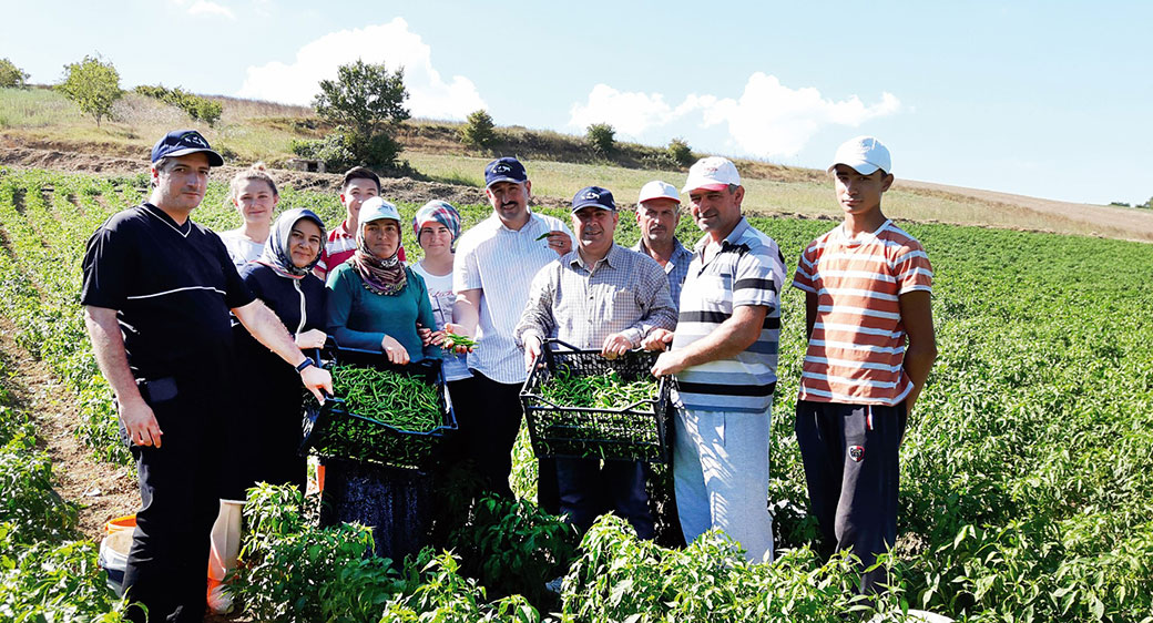 kandira-giosbun-ham-madde-ihtiyaci-yerel-tohu