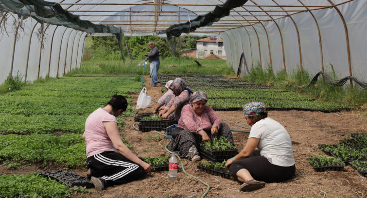 Büyükşehir'den % 75 hibeli tarım desteği