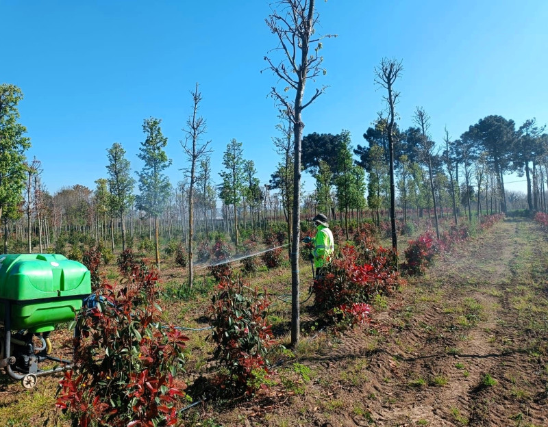Kocaeli fidanlık insektisit