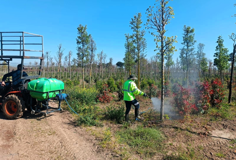 Kocaeli fidanlık hastalık önleme