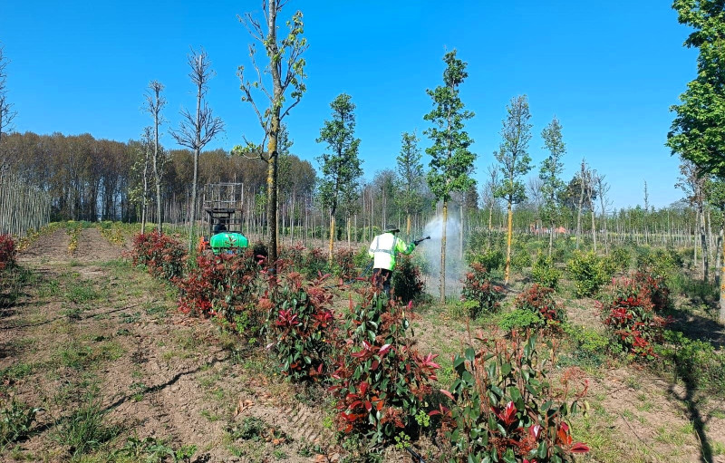 Kocaeli fidanlık ilaçlama çalışması