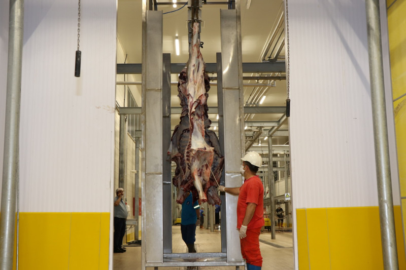 İzmit Mezbahası Hijyen