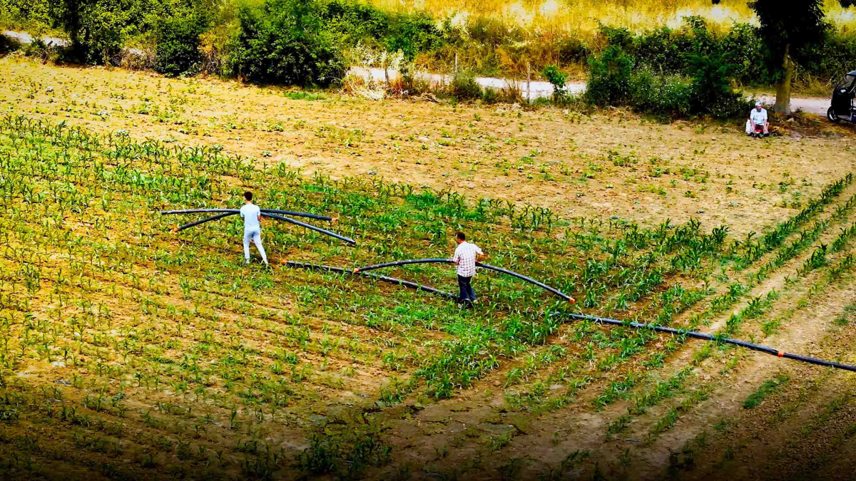 Büyükşehir, kırsal kalkınmada lokomotif oluyor