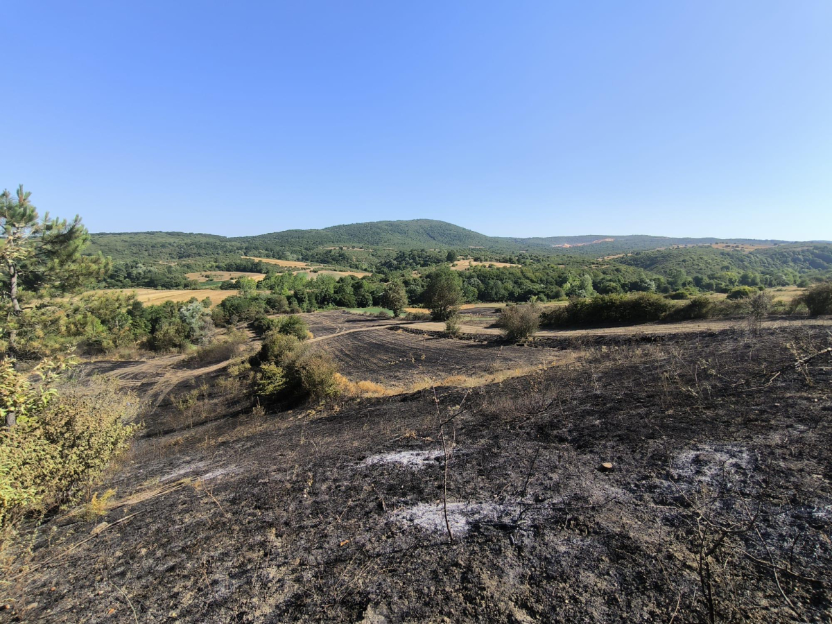 Yangında zarar gören çiftçilere gübre ve tohum desteği