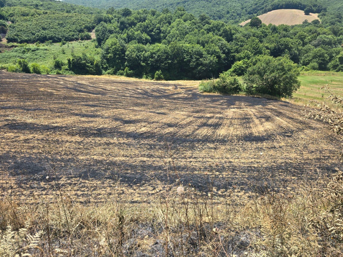 Yangında zarar gören çiftçilere gübre ve tohum desteği