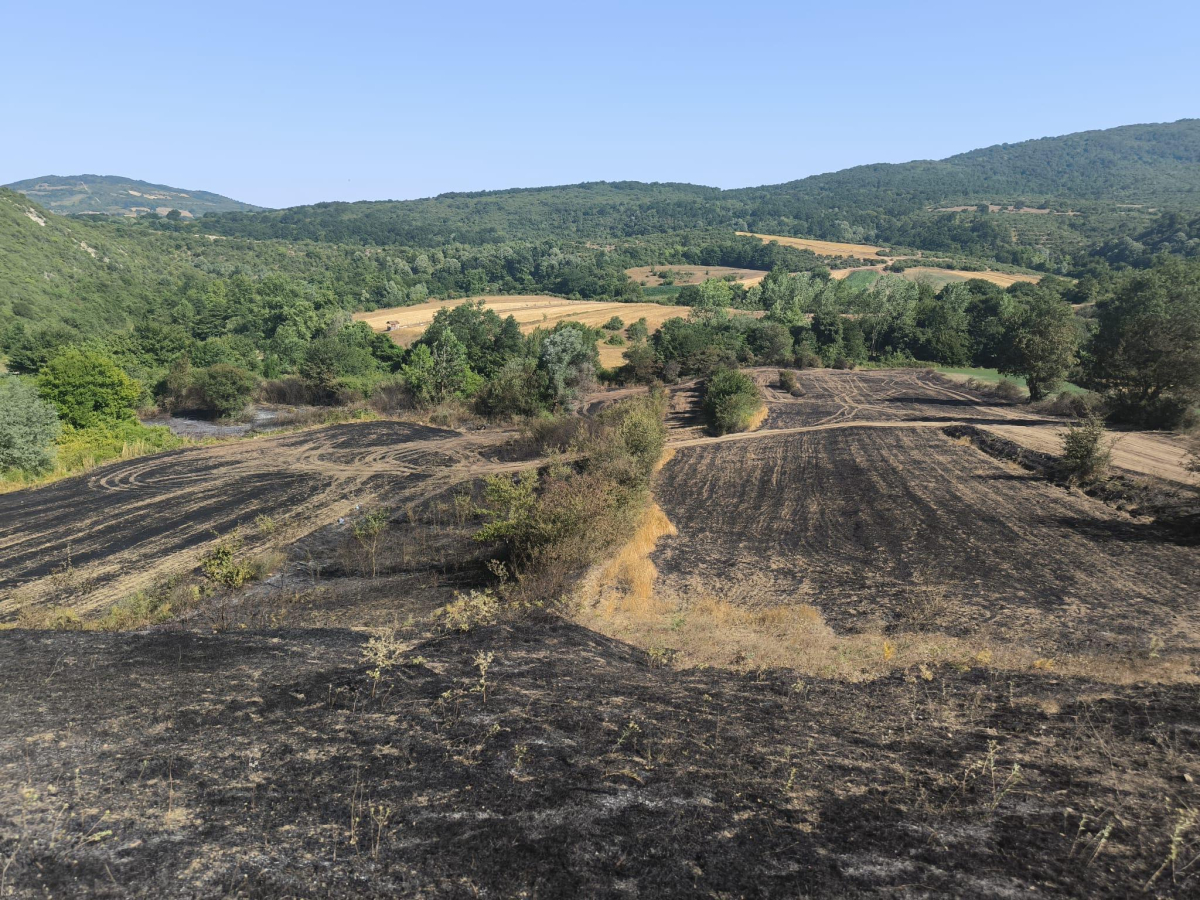 Yangında zarar gören çiftçilere gübre ve tohum desteği