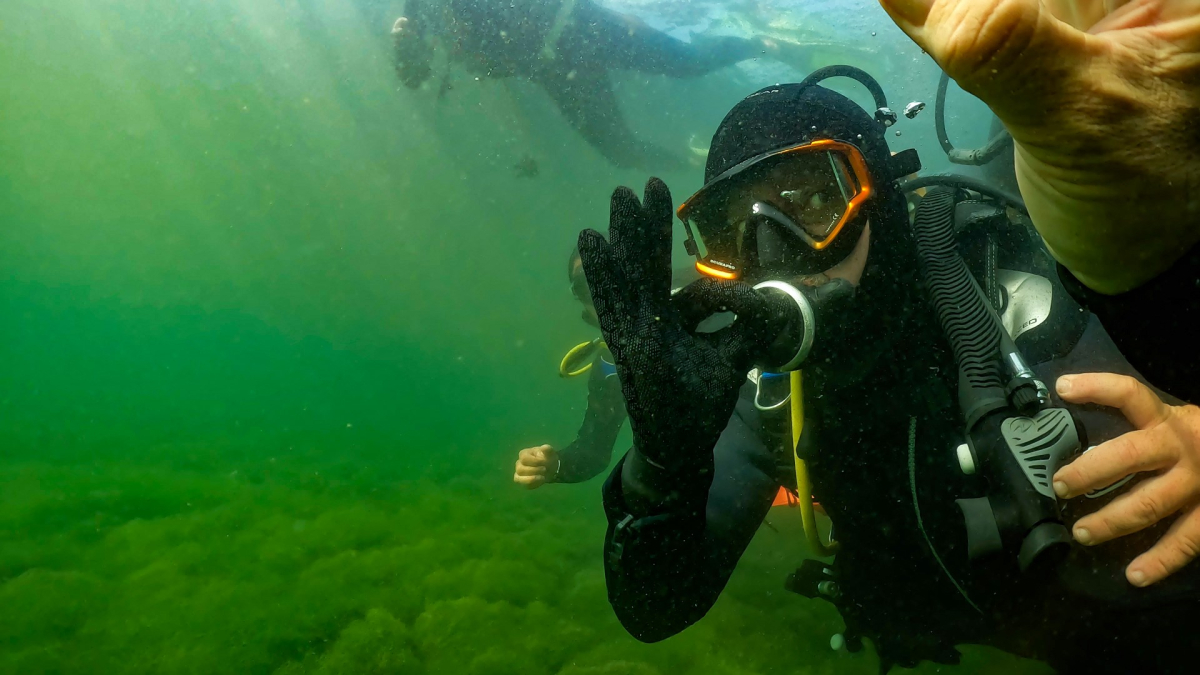 Dipten dirilişe canlı tanıklık