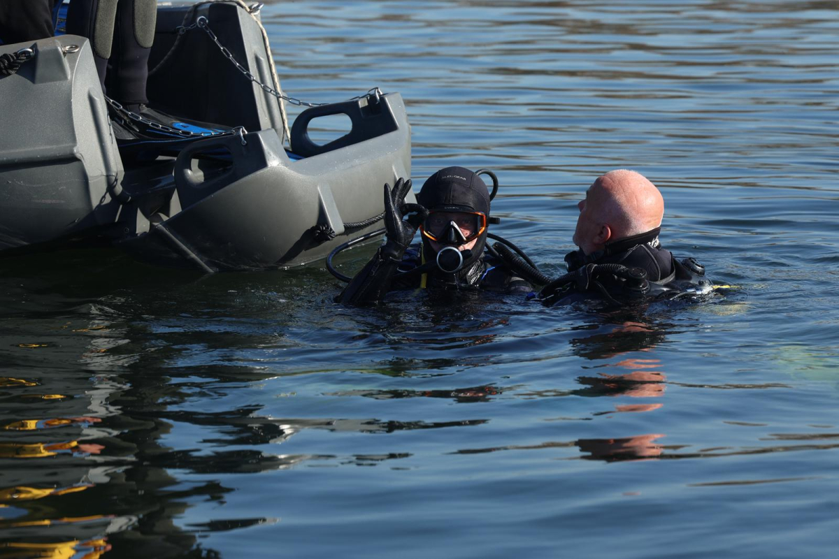 Dipten dirilişe canlı tanıklık