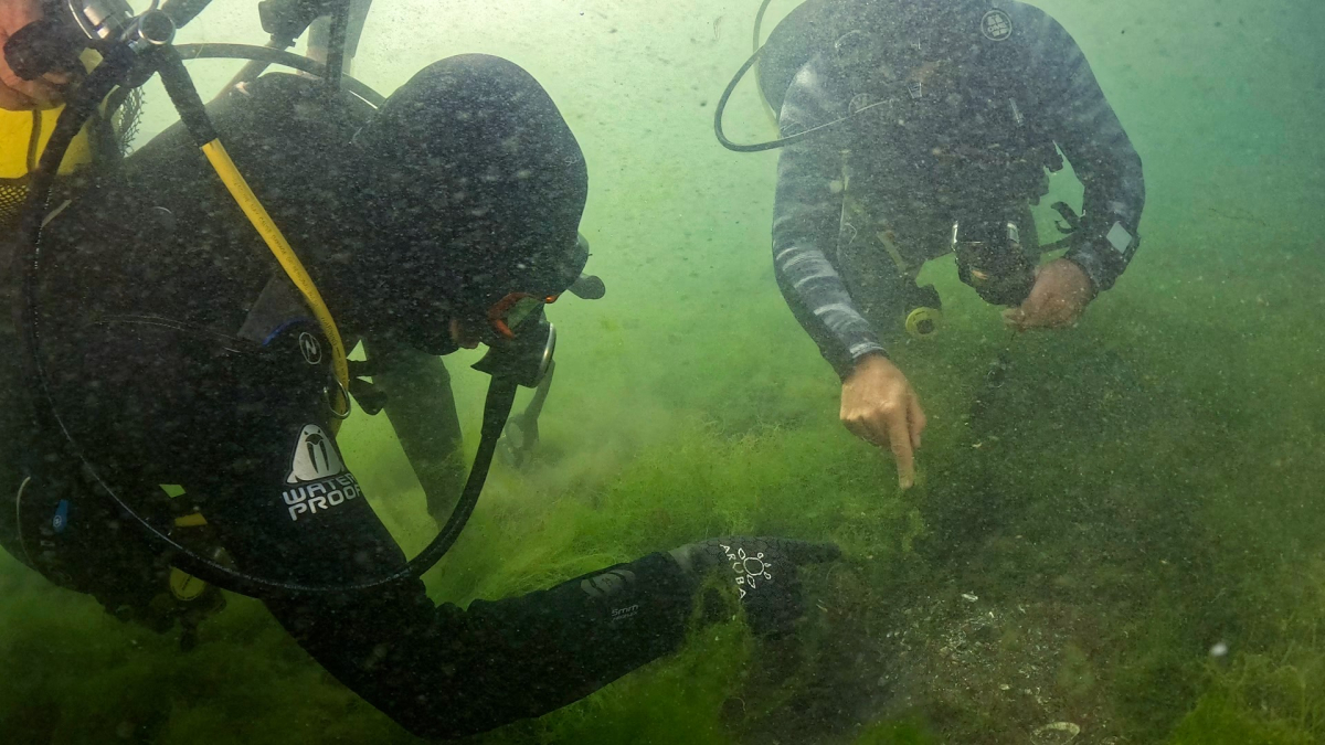 Dipten dirilişe canlı tanıklık