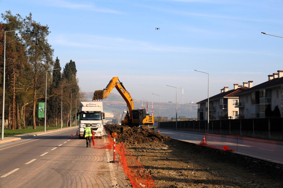 Ağaçlar yeni yerlerinde hayat bulacak