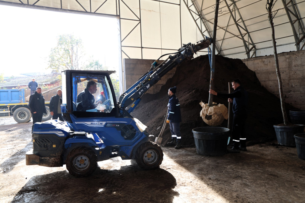Ağaçlar yeni yerlerinde hayat bulacak