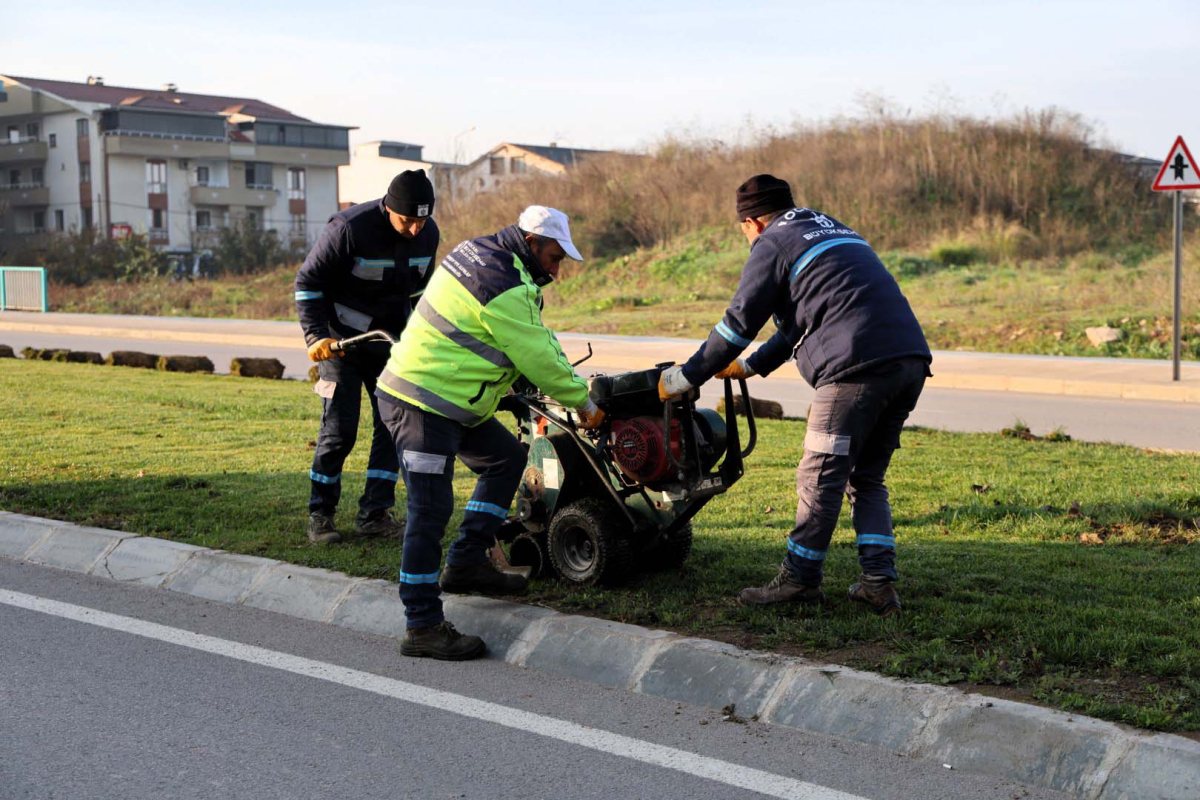 Ağaçlar yeni yerlerinde hayat bulacak