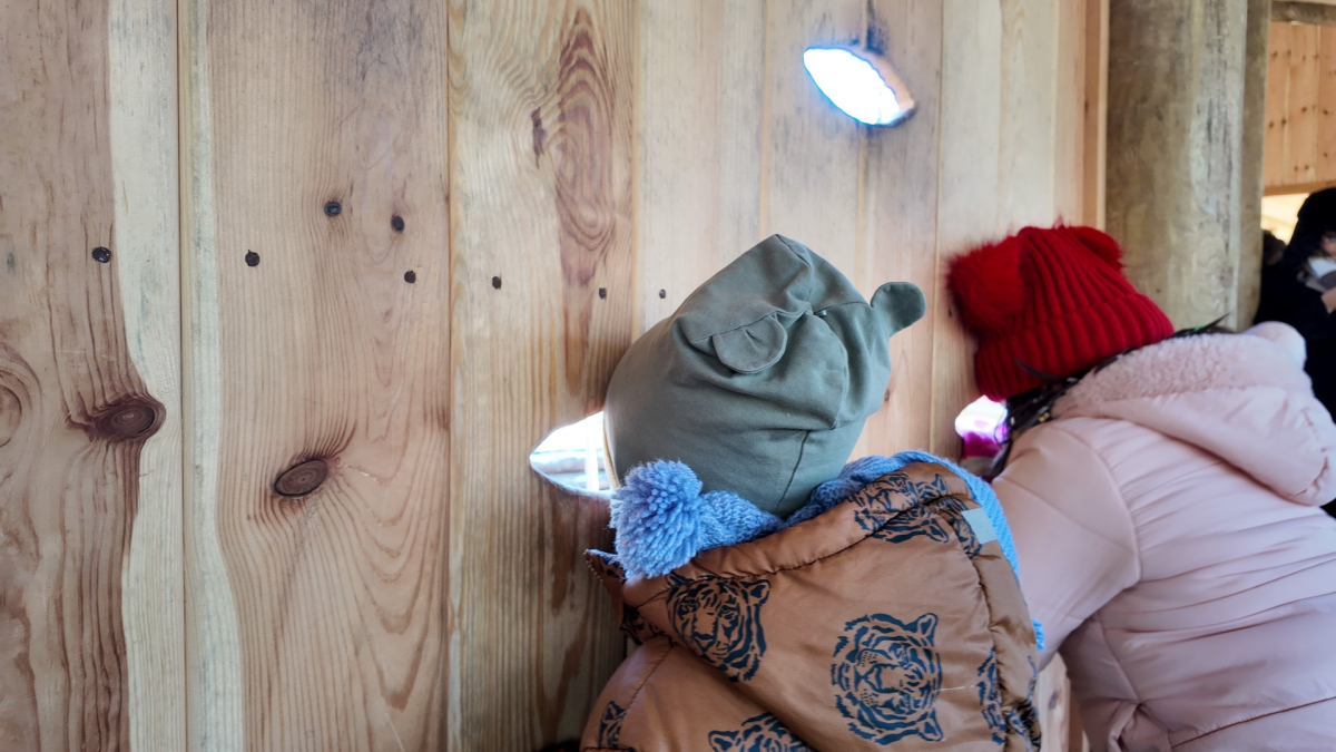 Çocuklar, Dünya Kuş Günü’nde doğayı keşfetti