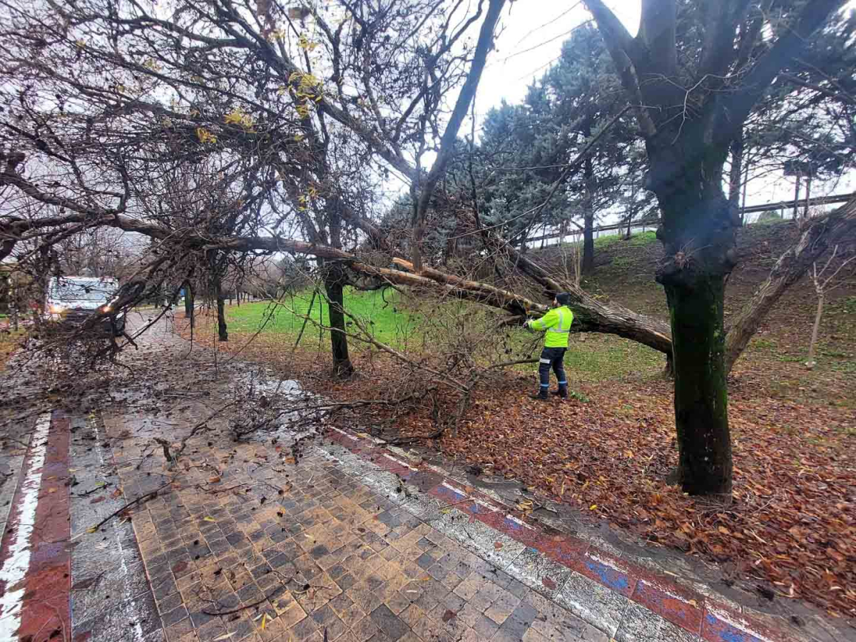 Büyükşehir, şiddetli lodosa karşı teyakkuzda