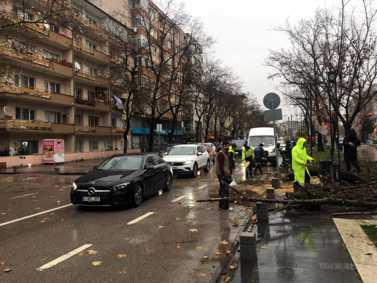 Büyükşehir, şiddetli lodosa karşı teyakkuzda