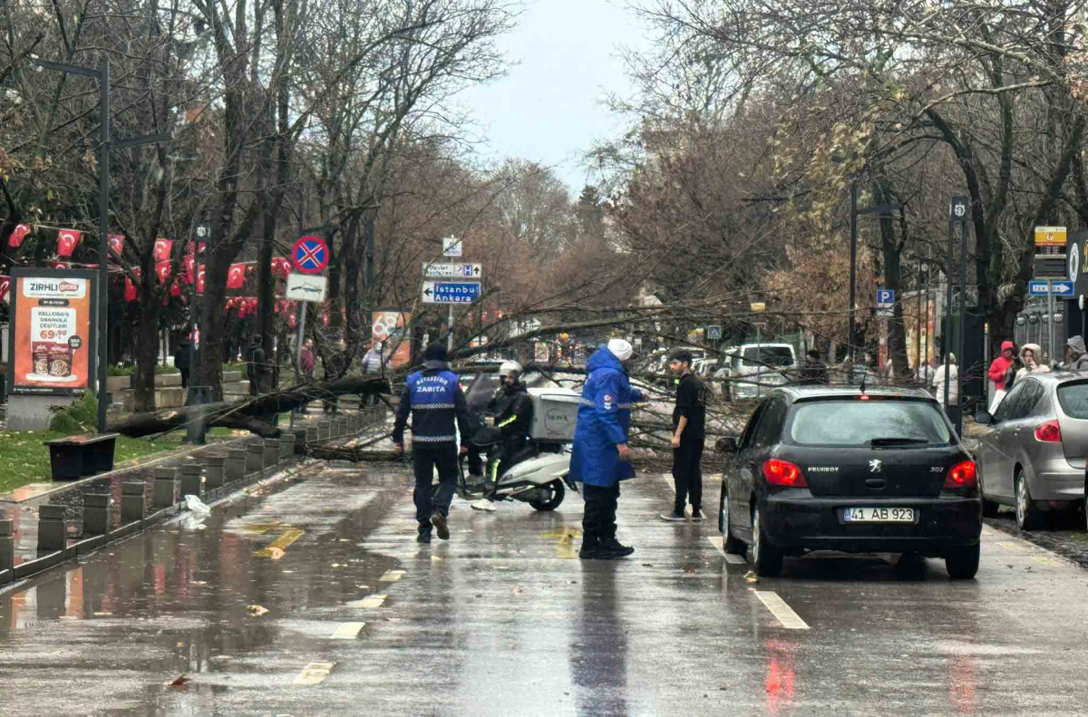 Büyükşehir, şiddetli lodosa karşı teyakkuzda