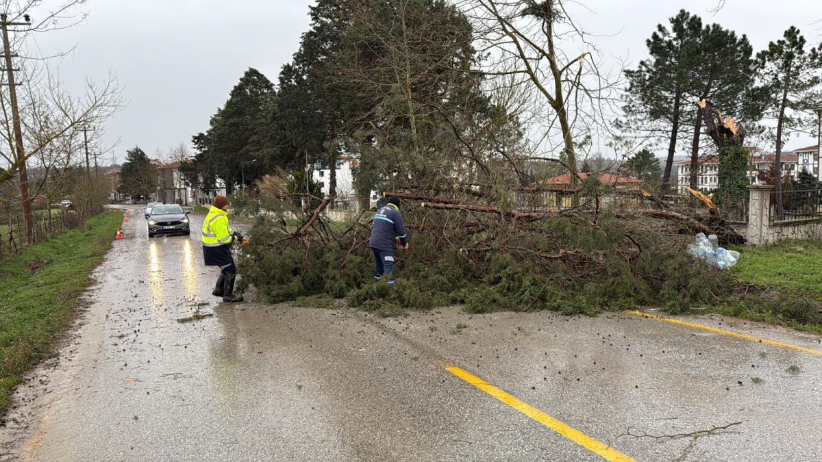 Büyükşehir, şiddetli lodosa karşı teyakkuzda