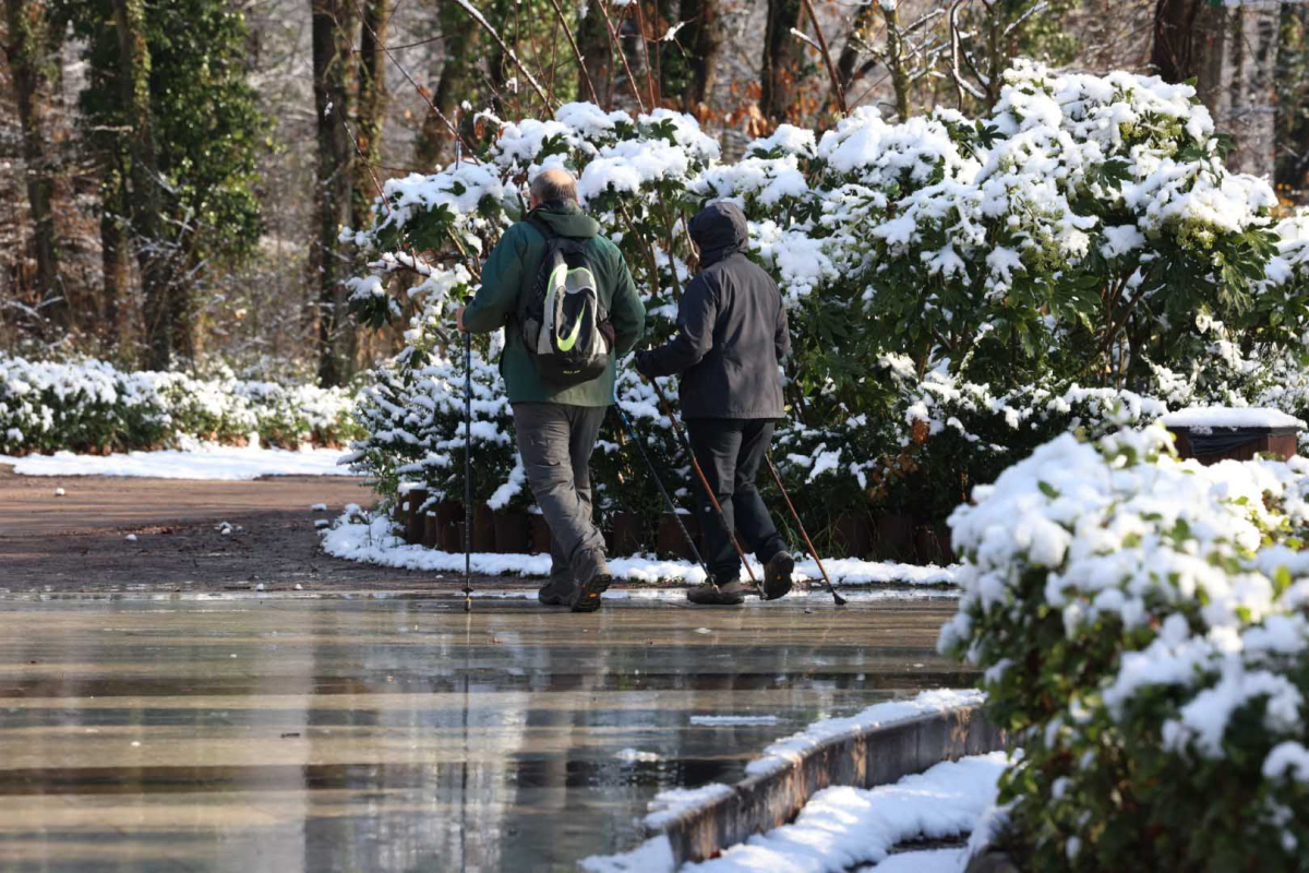 Ormanya’da kartpostallık kış manzaraları