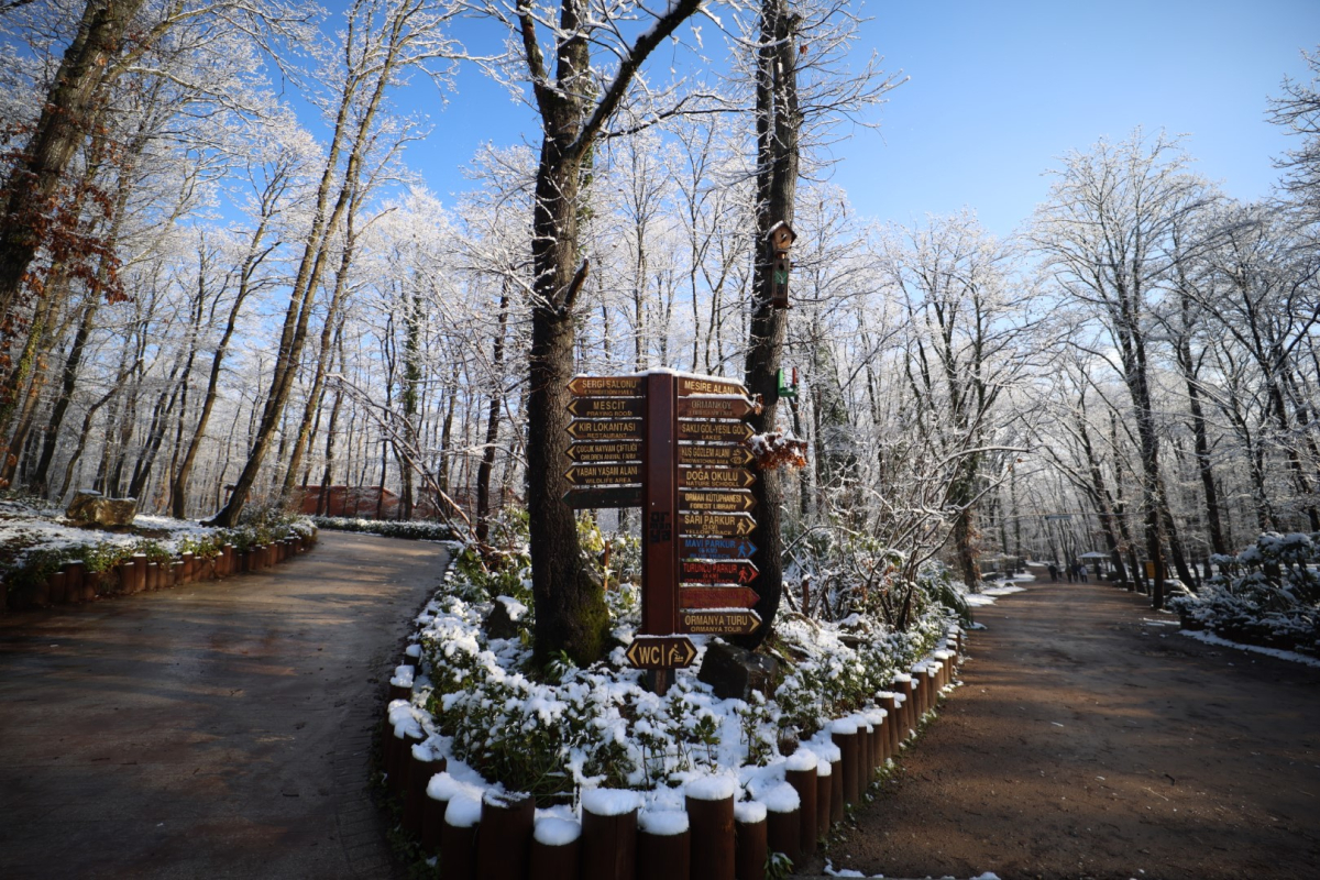 Ormanya’da kartpostallık kış manzaraları