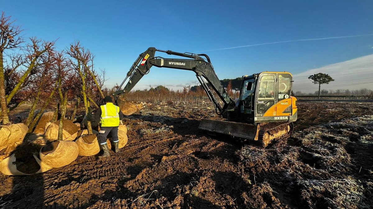 On binlerce bitki Büyükşehir fidanlığında yetişiyor