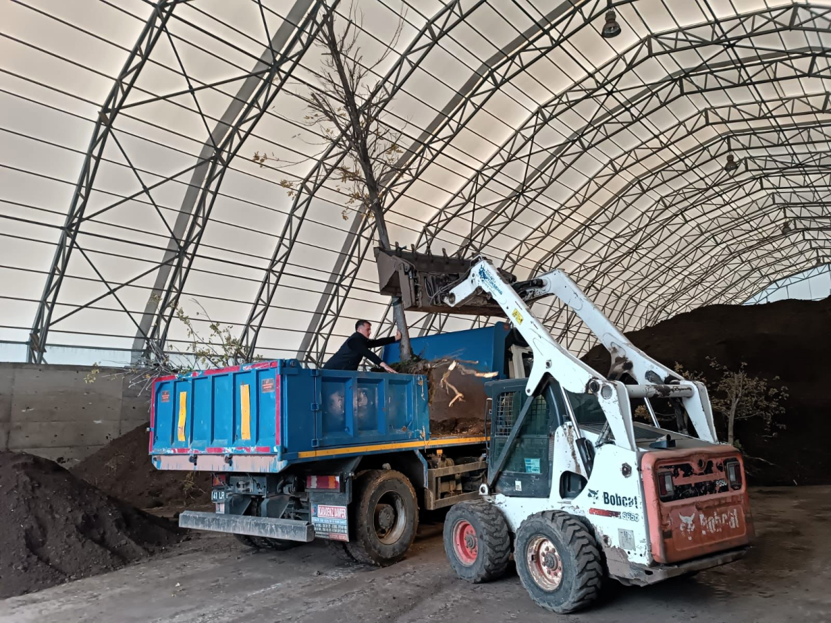 On binlerce bitki Büyükşehir fidanlığında yetişiyor