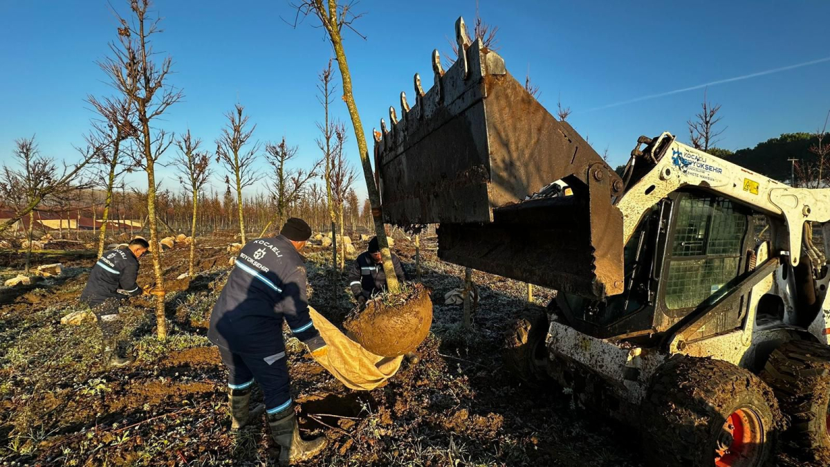 On binlerce bitki Büyükşehir fidanlığında yetişiyor