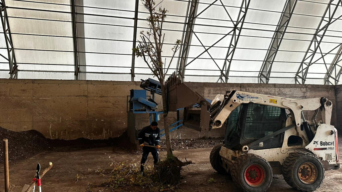 On binlerce bitki Büyükşehir fidanlığında yetişiyor