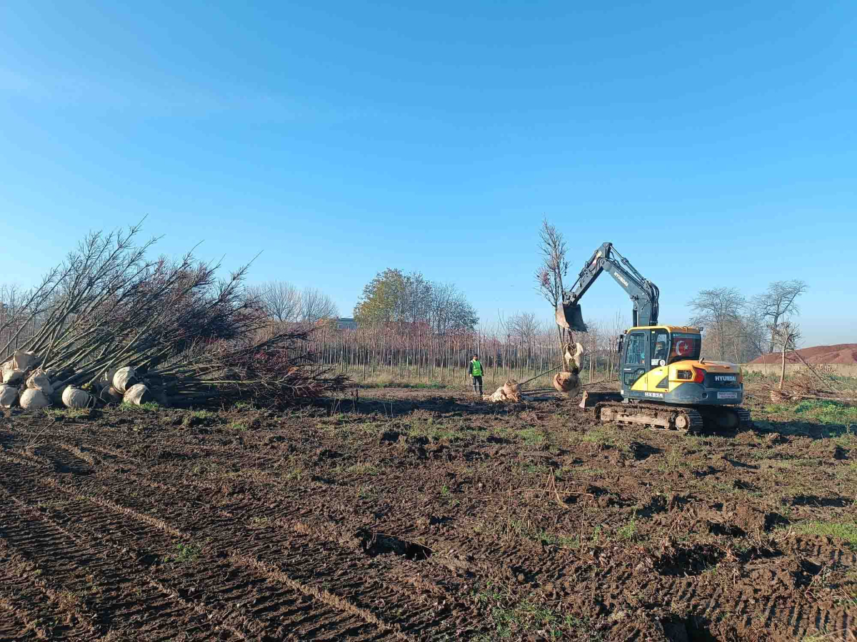 On binlerce bitki Büyükşehir fidanlığında yetişiyor