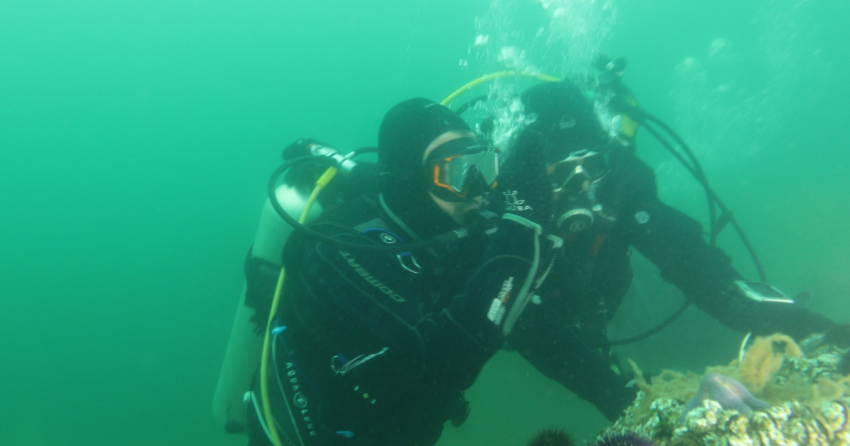 Büyükakın: “Dipten diriliş  tüm Marmara’ya yayılıyor”