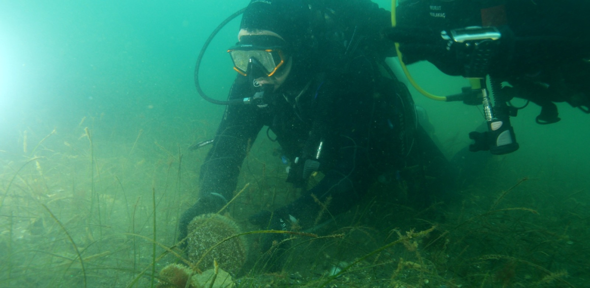 Büyükakın: “Dipten diriliş  tüm Marmara’ya yayılıyor”