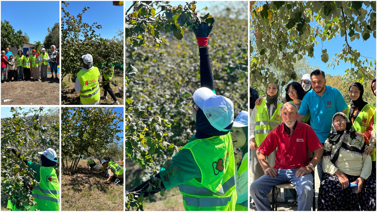 Kocaeli Gönüllüsü