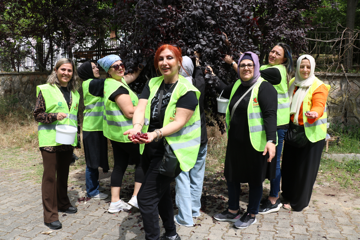 Kocaeli Gönüllüsü