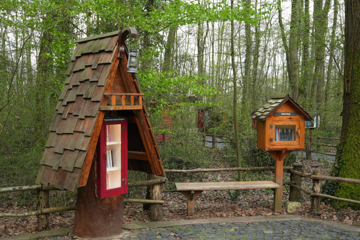 Orman Kütüphanesi’nde okuma keyfi bambaşka