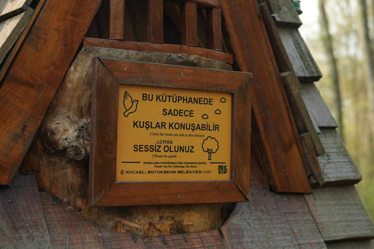 Orman Kütüphanesi’nde okuma keyfi bambaşka