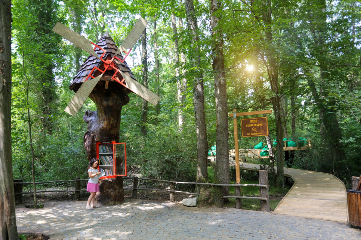 Orman Kütüphanesi’nde okuma keyfi bambaşka