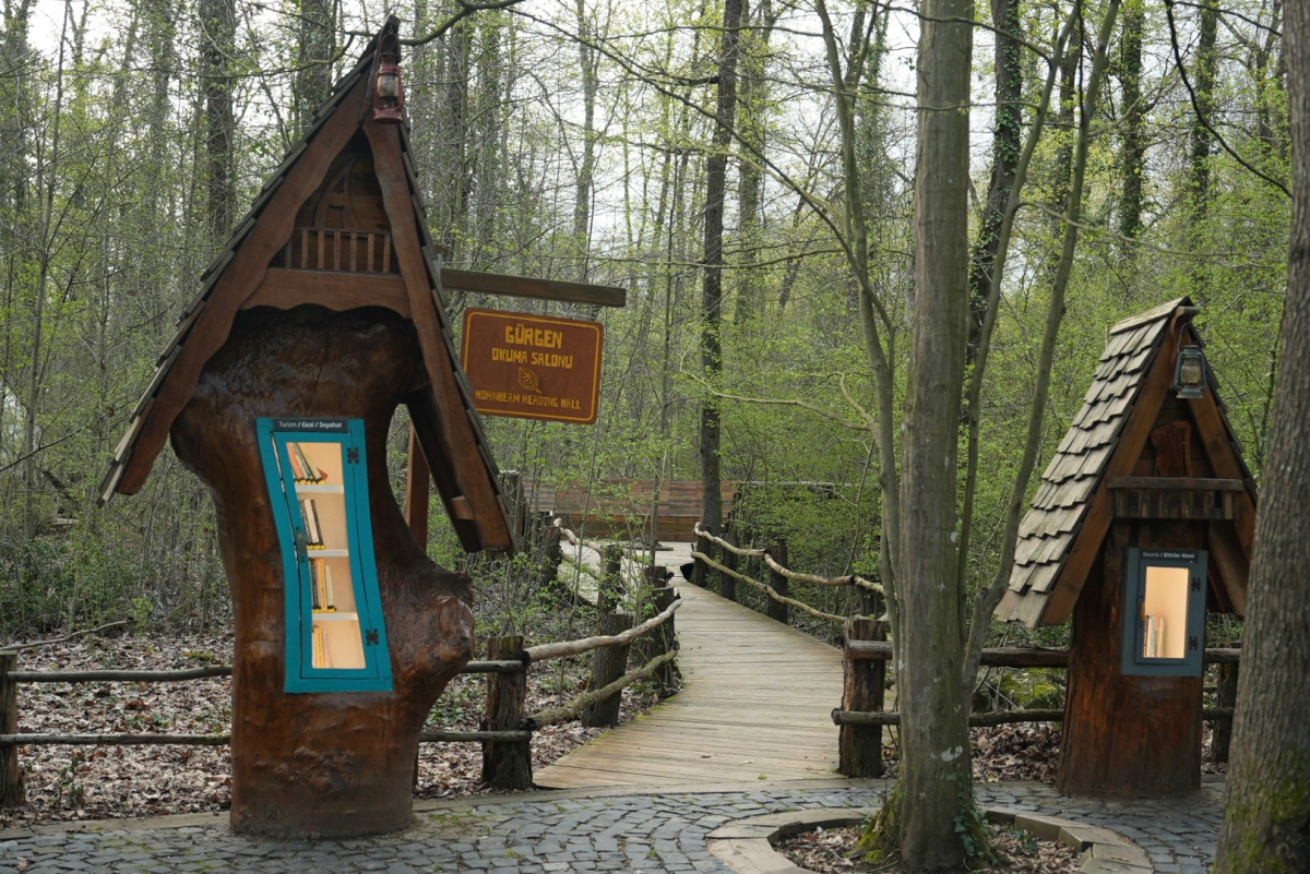 Orman Kütüphanesi’nde okuma keyfi bambaşka