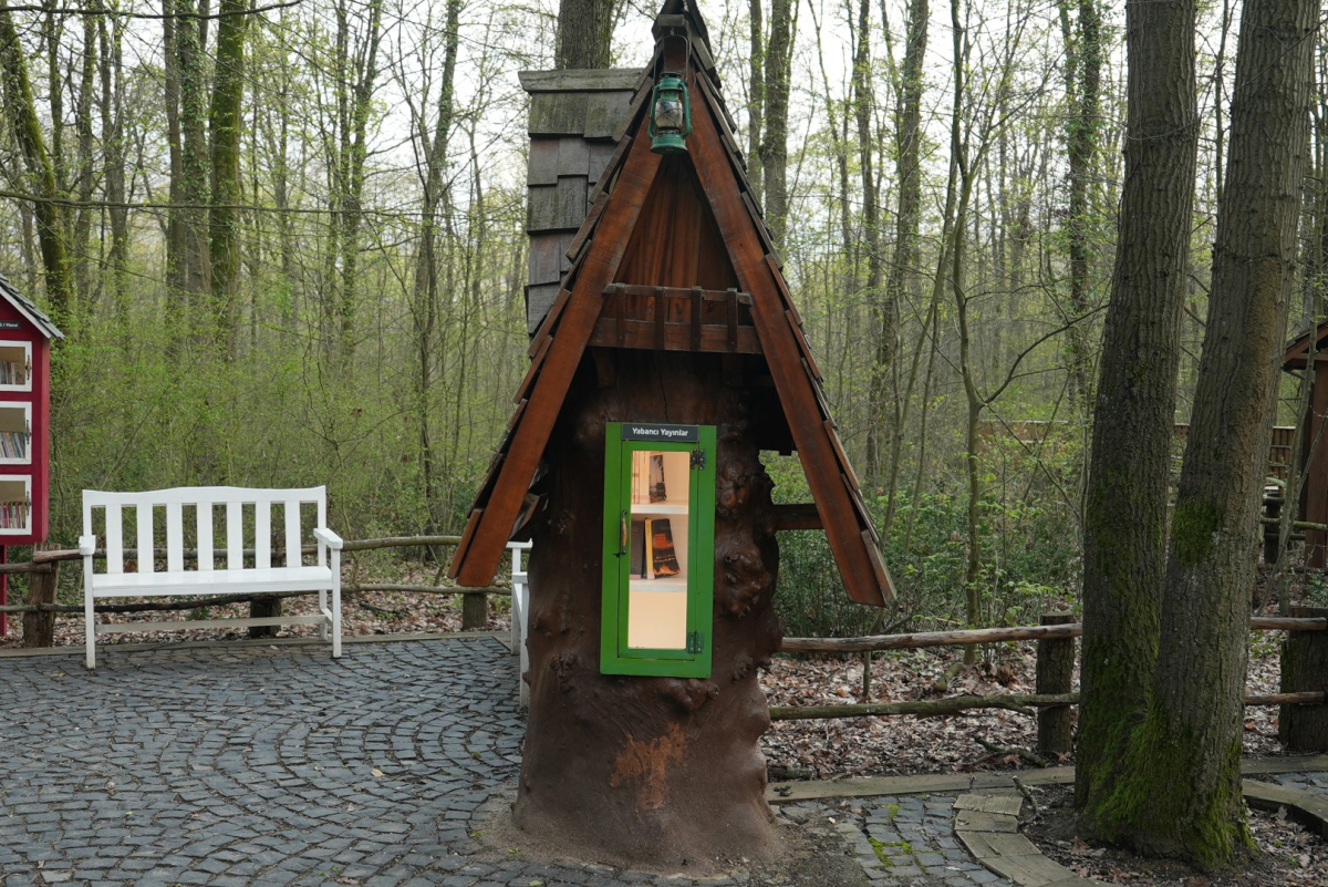 Orman Kütüphanesi’nde okuma keyfi bambaşka