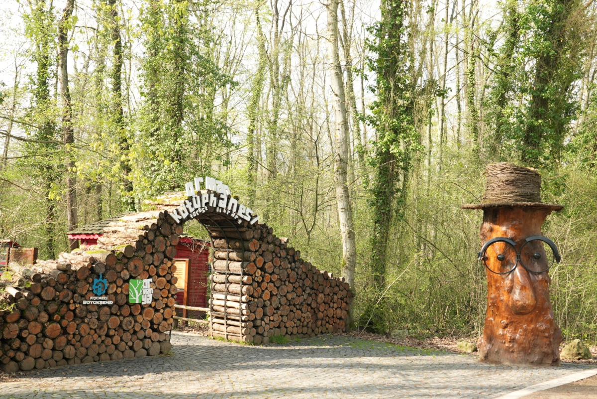 Orman Kütüphanesi’nde okuma keyfi bambaşka