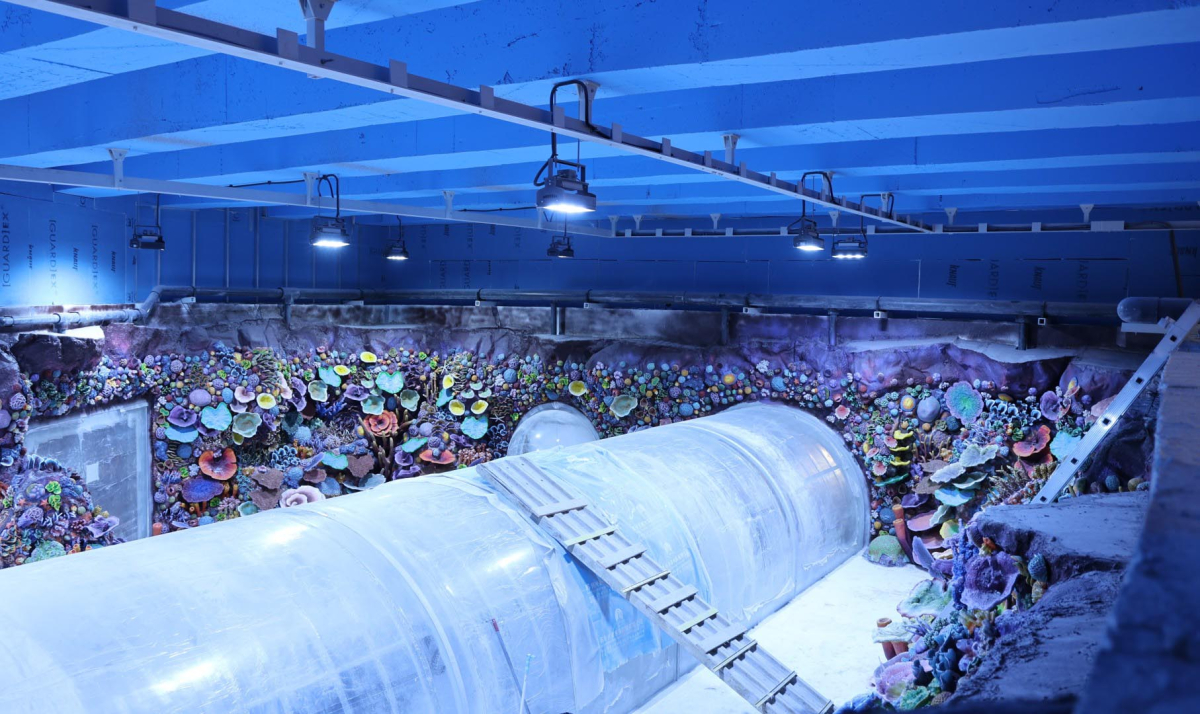 30 farklı akvaryum eşsiz bir gezi yaşatacak