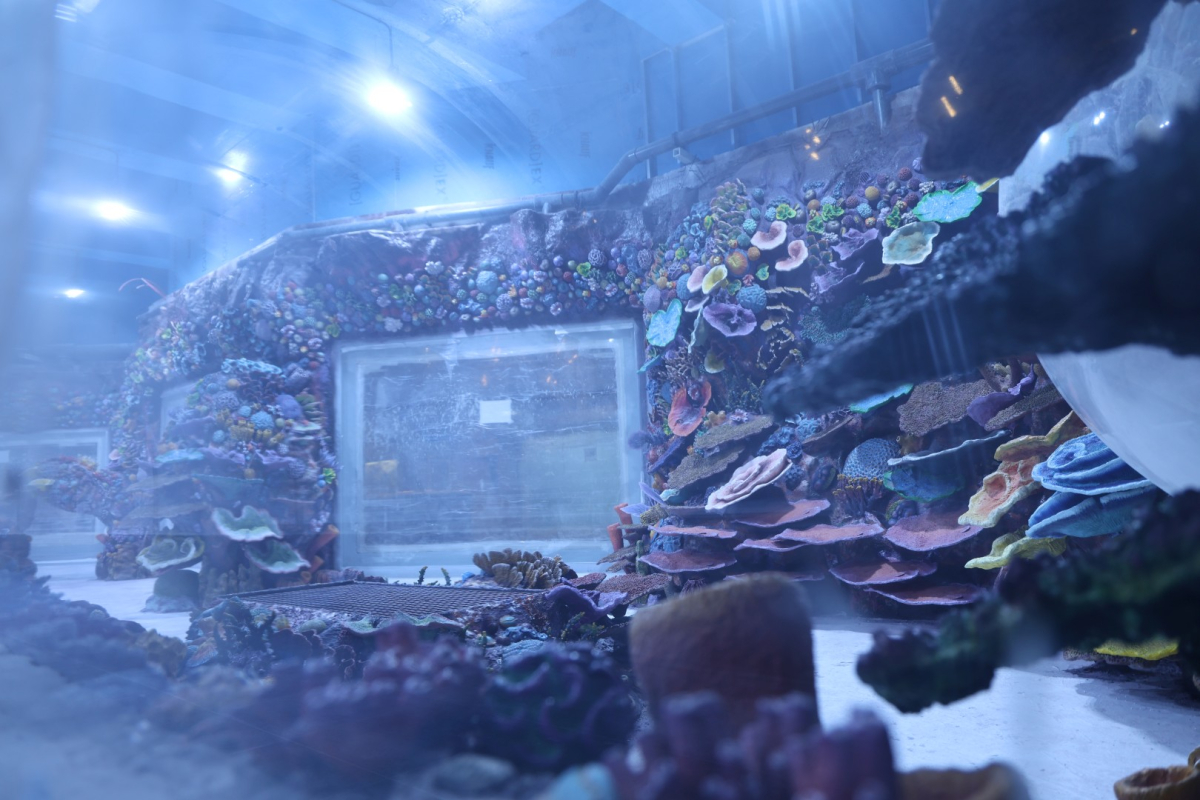 30 farklı akvaryum eşsiz bir gezi yaşatacak