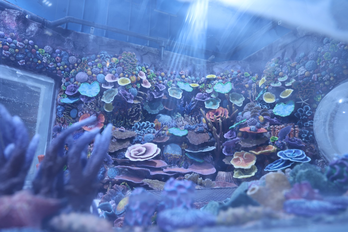 30 farklı akvaryum eşsiz bir gezi yaşatacak