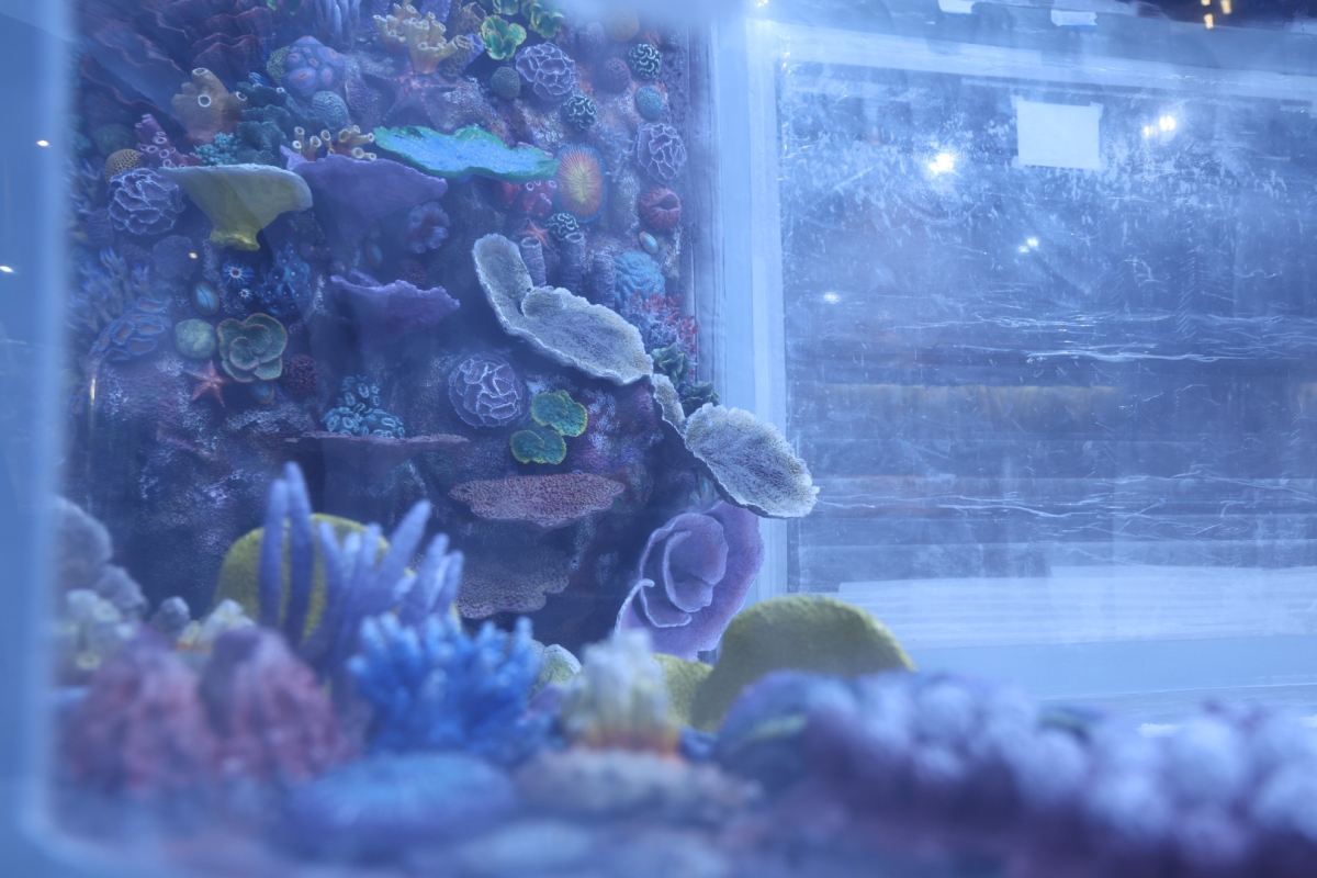 30 farklı akvaryum eşsiz bir gezi yaşatacak