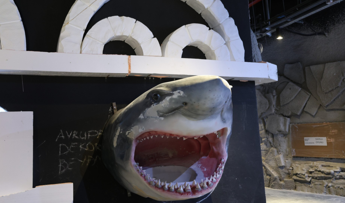 30 farklı akvaryum eşsiz bir gezi yaşatacak