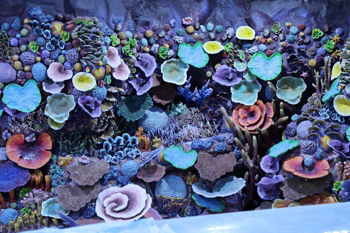 30 farklı akvaryum eşsiz bir gezi yaşatacak