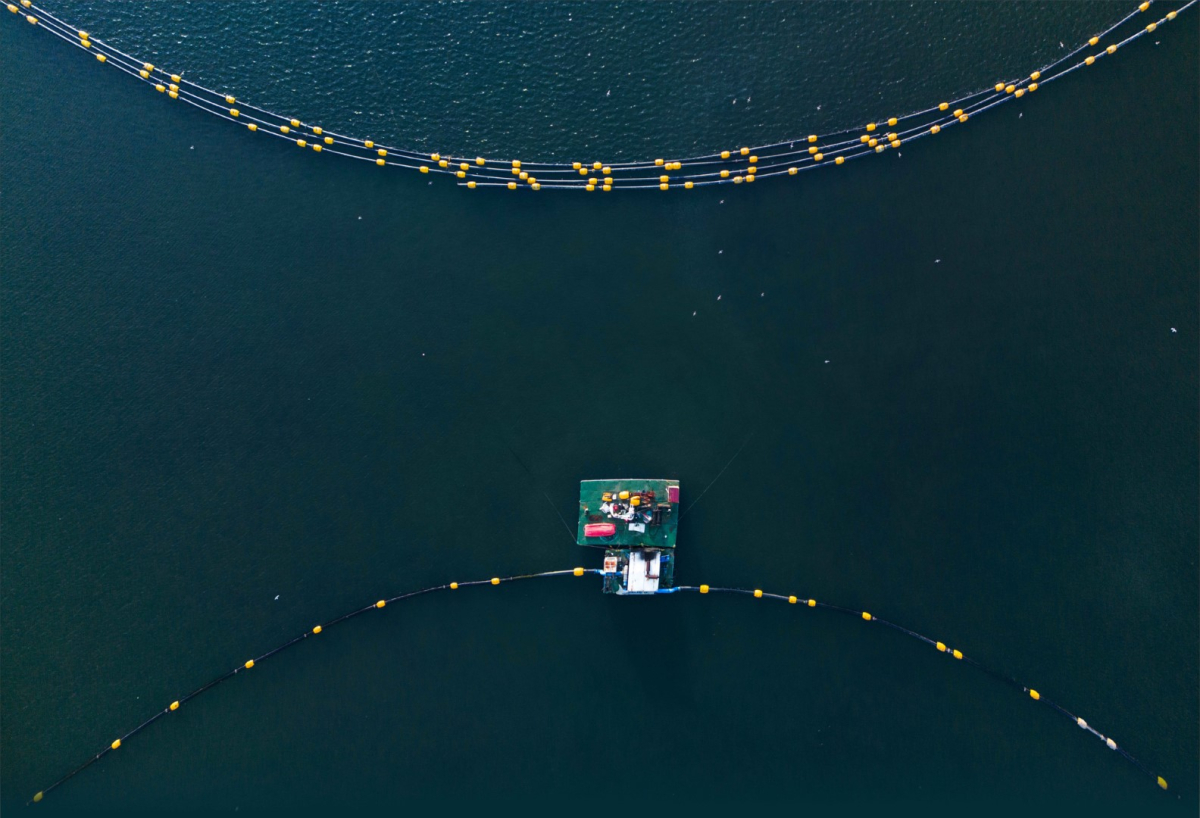 Mekânın sahipleri geri döndü