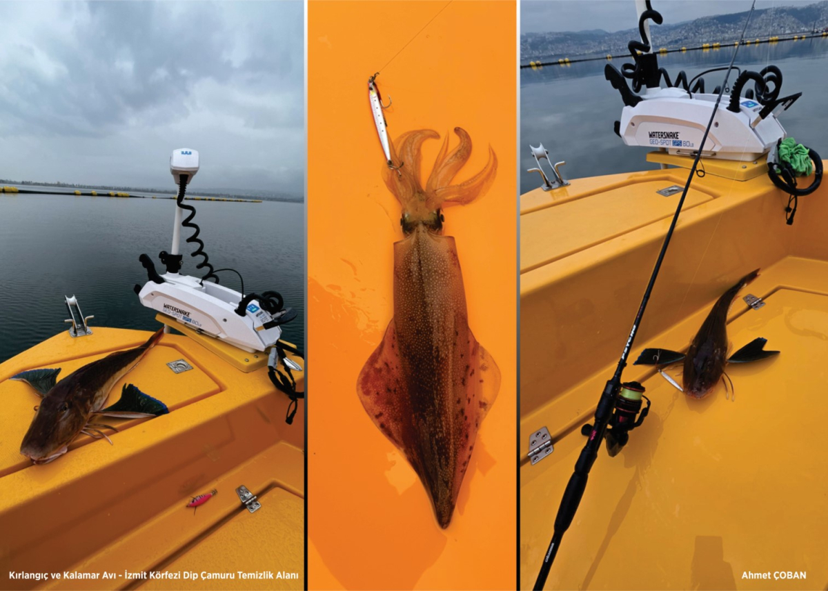 Mekânın sahipleri geri döndü