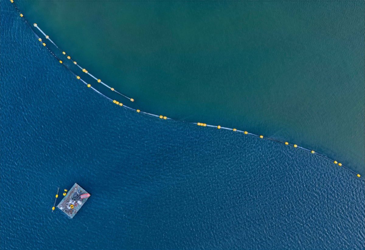 Mekânın sahipleri geri döndü