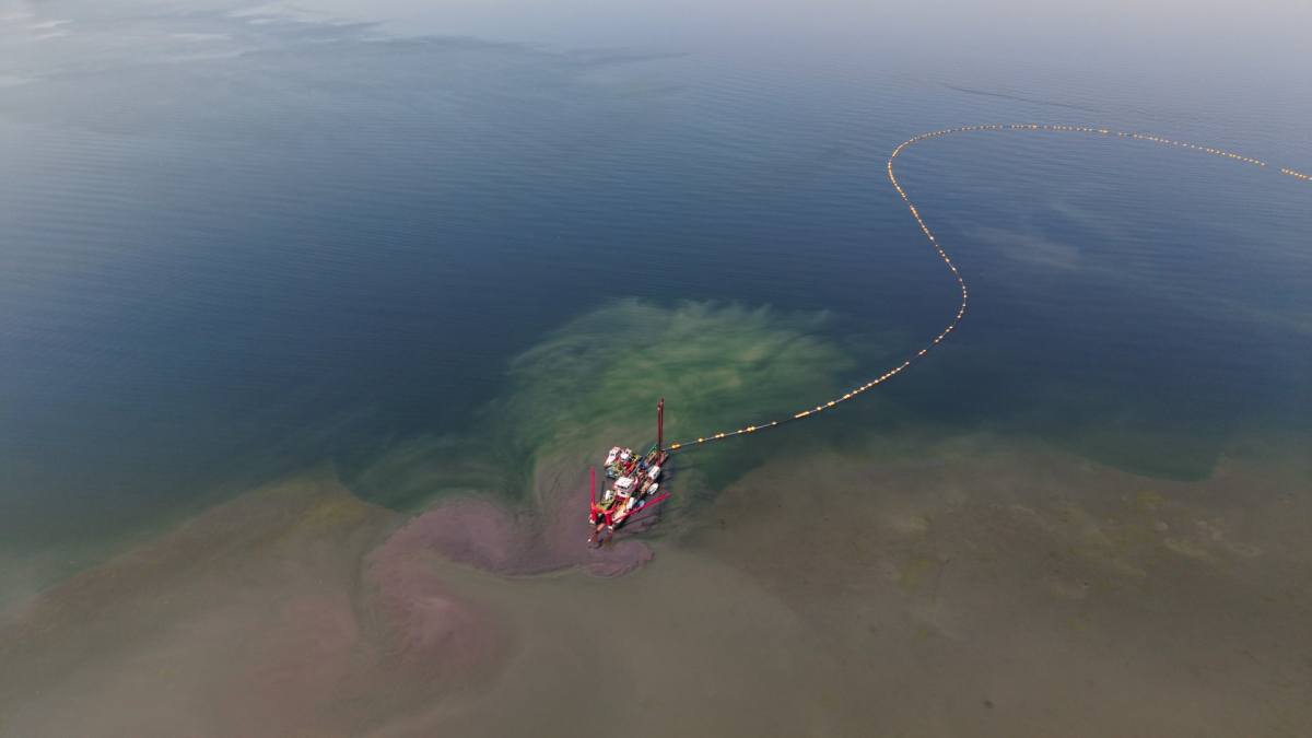 Mekânın sahipleri geri döndü